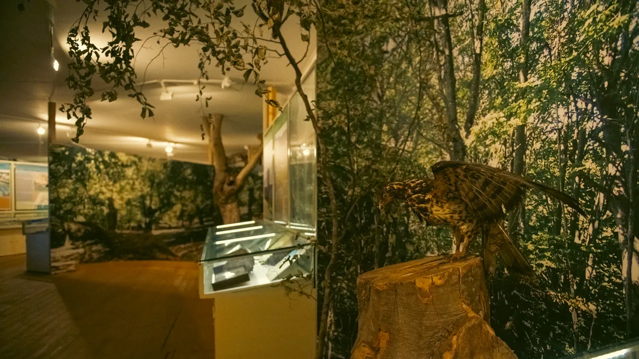 Museo di Storia Naturale