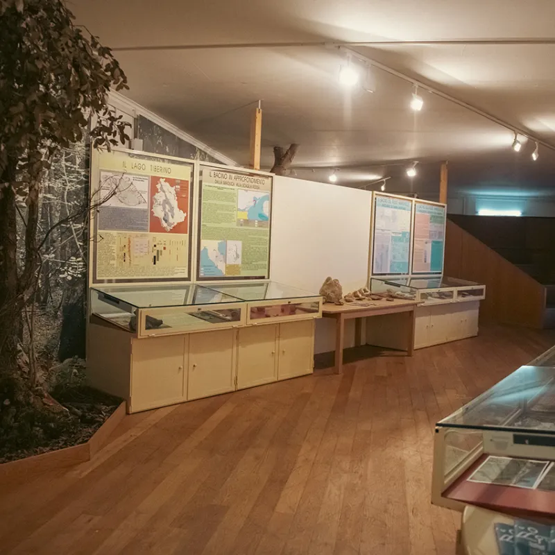 Museo di Storia Naturale