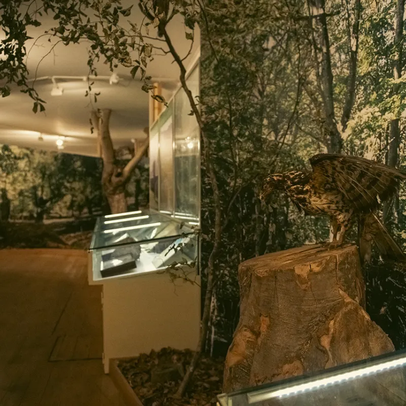 Museo di Storia Naturale