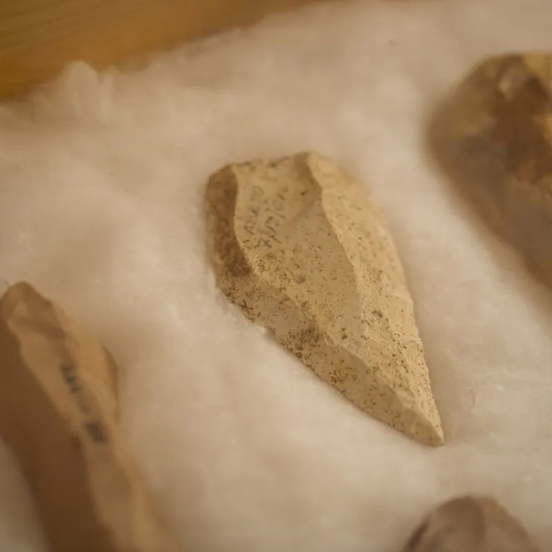 Museo di Storia Naturale