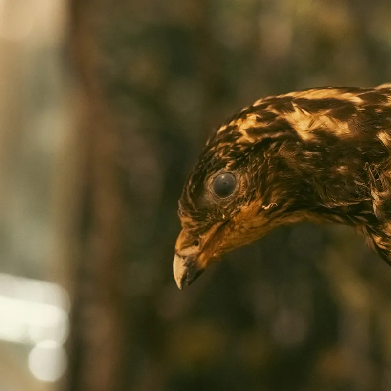 Museo di Storia Naturale