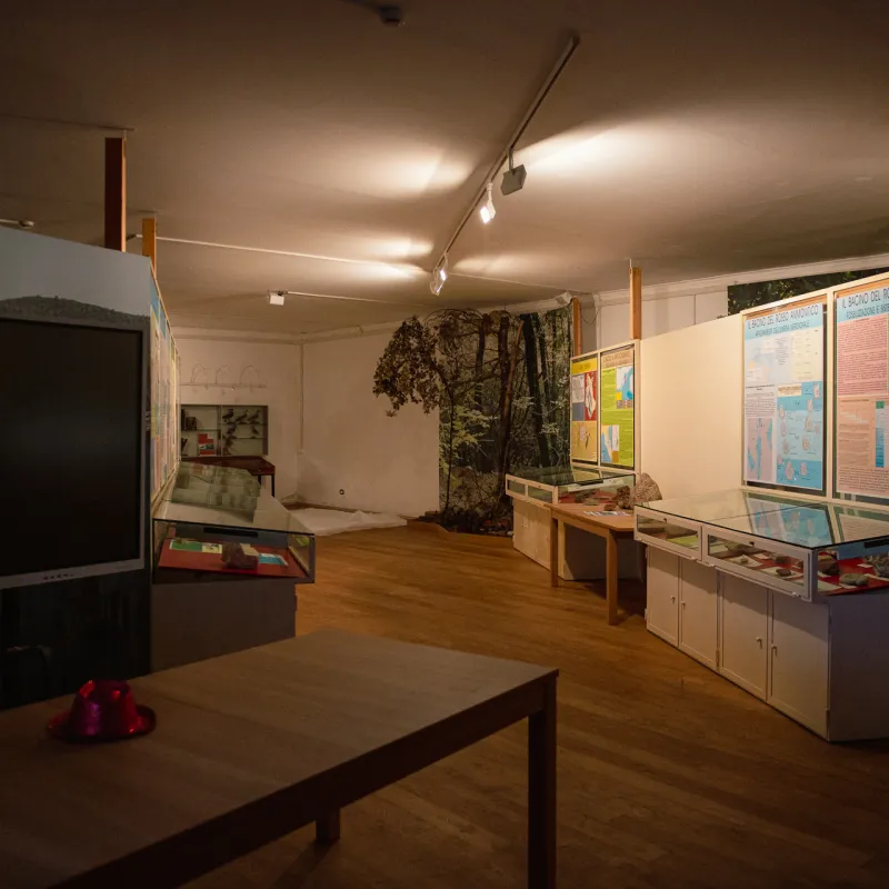 Museo di Storia Naturale