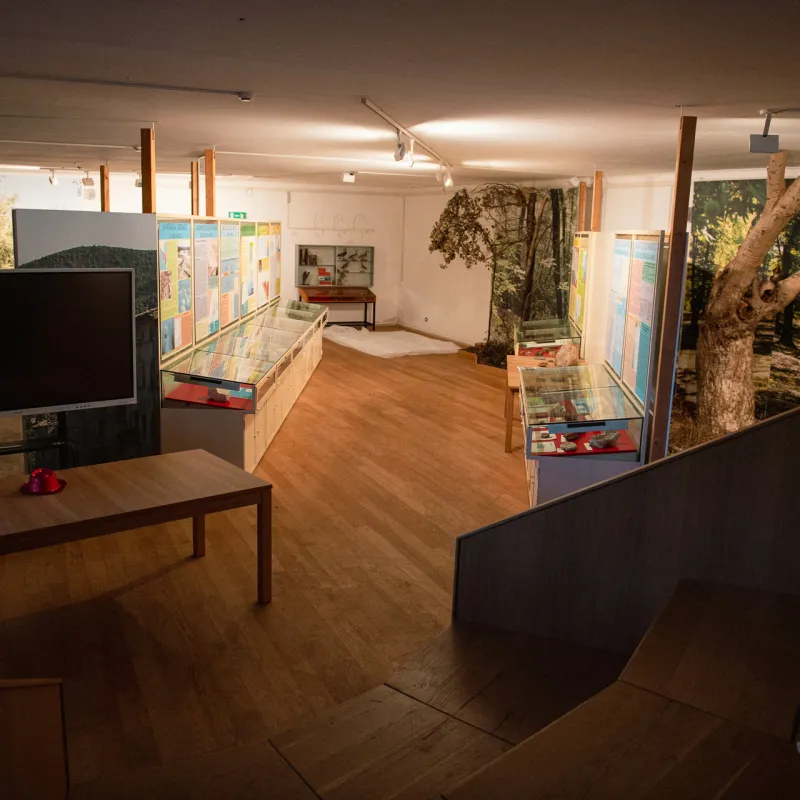 Museo di Storia Naturale