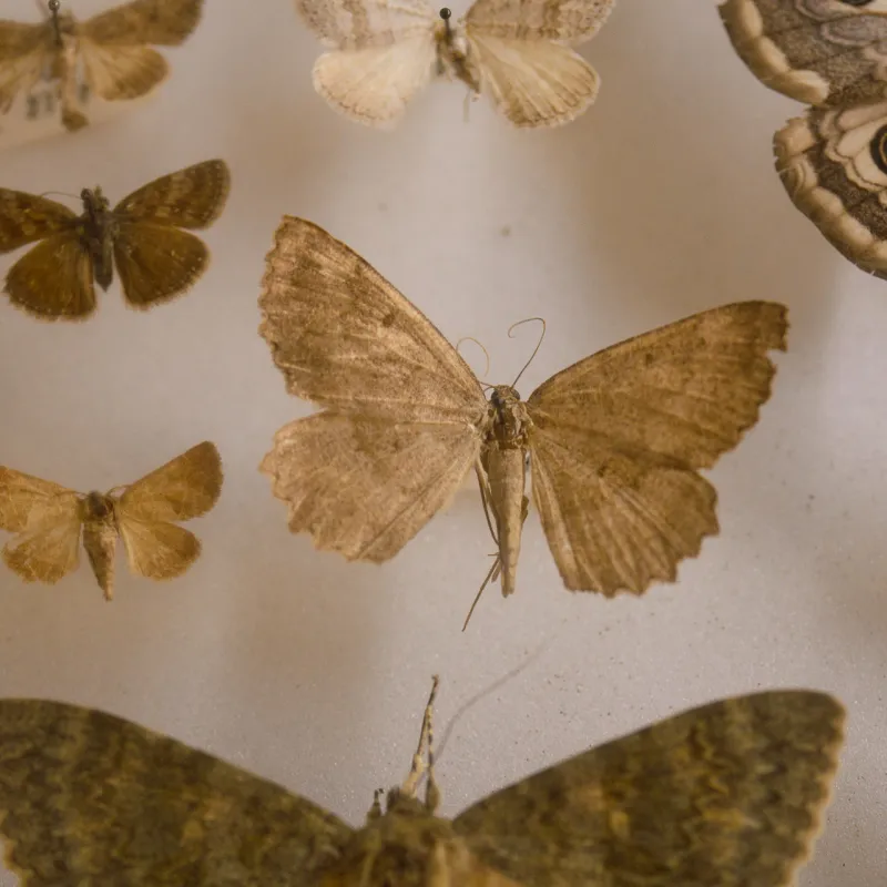 Museo di Storia Naturale