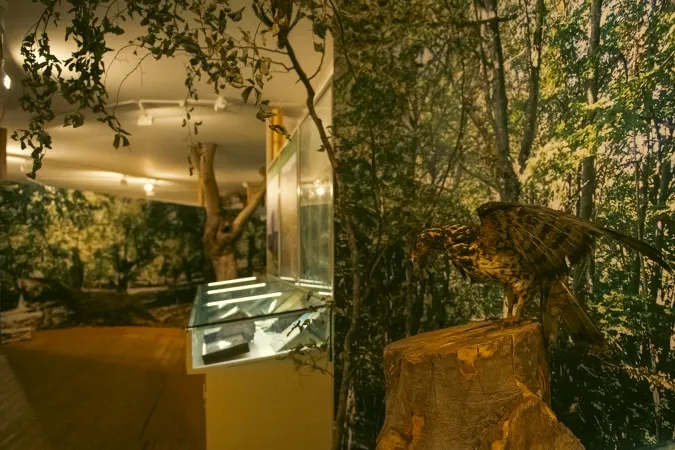 Museo di Storia Naturale