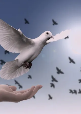 Una Giornata per la pace